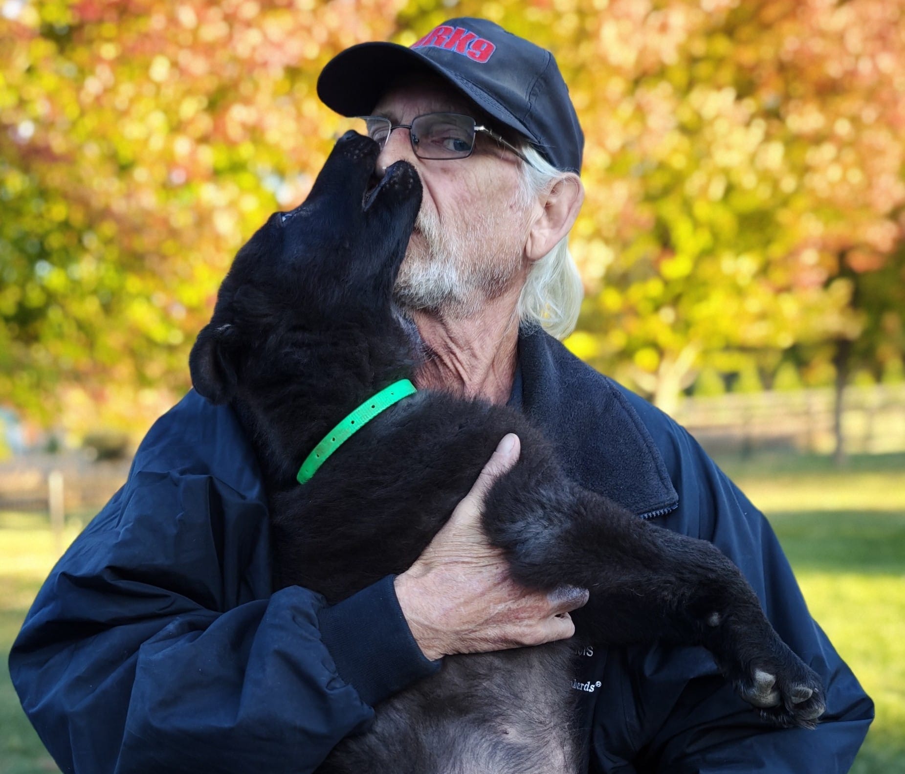 The Dogman gets a nip on the nose at The Puppy Motel.