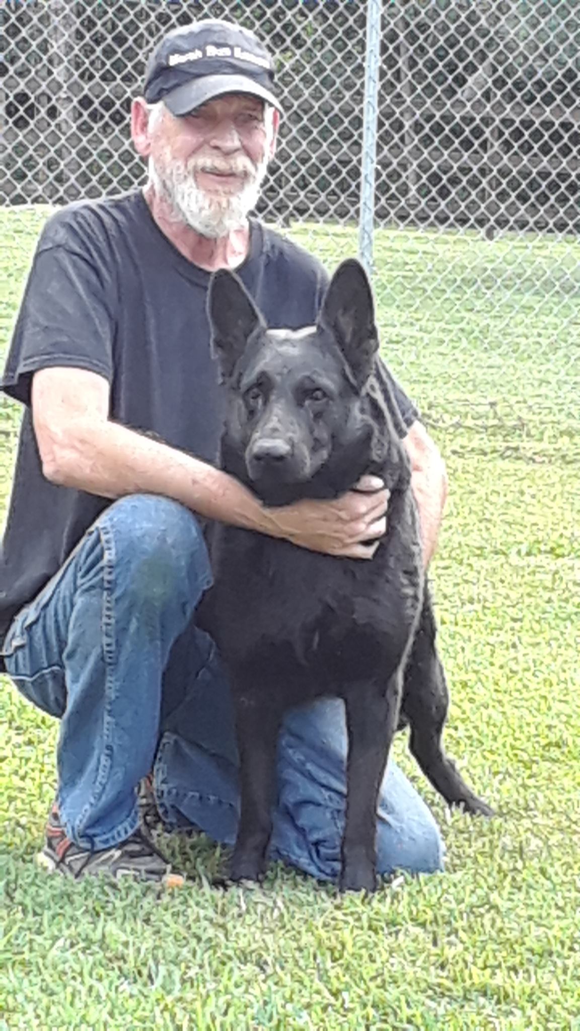 Lightning at Marsh Run Kennels