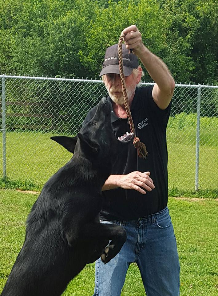 Storm at Marsh Run Kennels